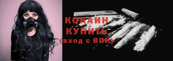 гашик Магас