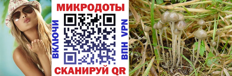 Галлюциногенные грибы Magic Shrooms  Новоаннинский 